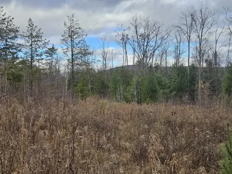 L52 Bridgton Road Sweden ME 04040