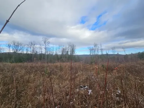 L52 Bridgton Road Sweden ME 04040