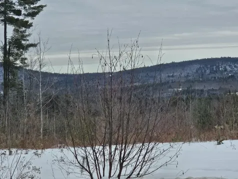 L52 Bridgton Road Sweden ME 04040