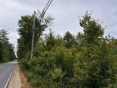 L52 Bridgton Road Sweden ME 04040