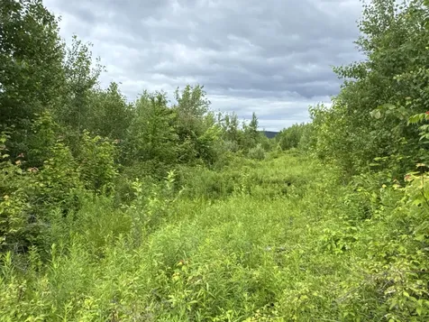 L52 Bridgton Road Sweden ME 04040