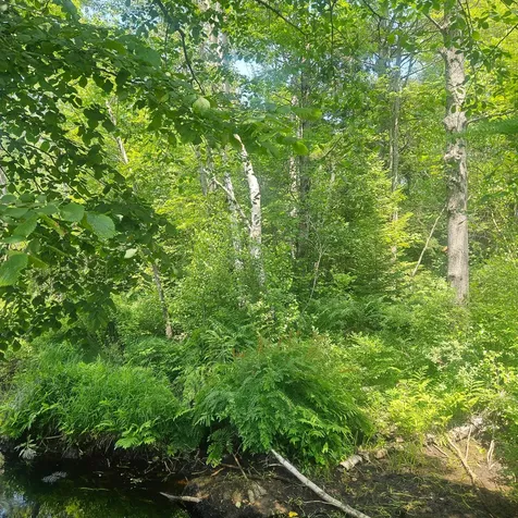 255 Bates Street Millinocket ME 04462