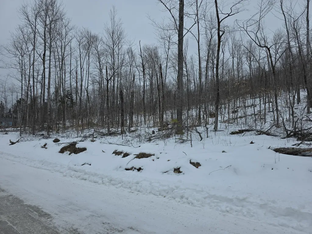 Lot F Sleeper Road Island Falls ME 04747