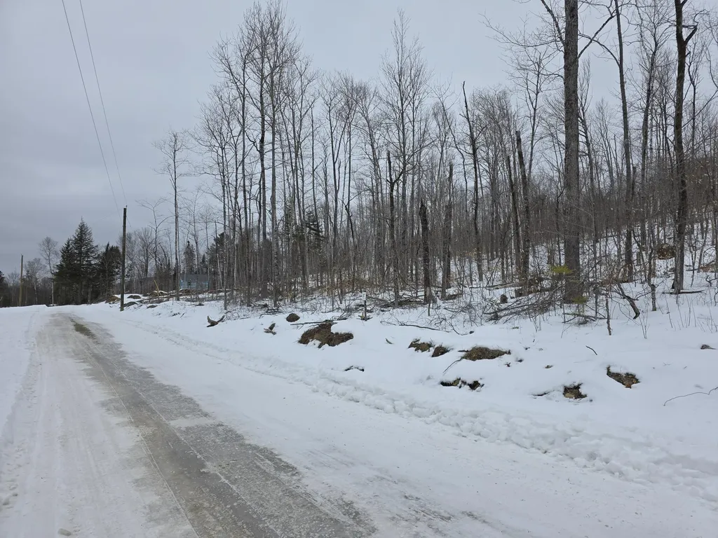Lot F Sleeper Road Island Falls ME 04747