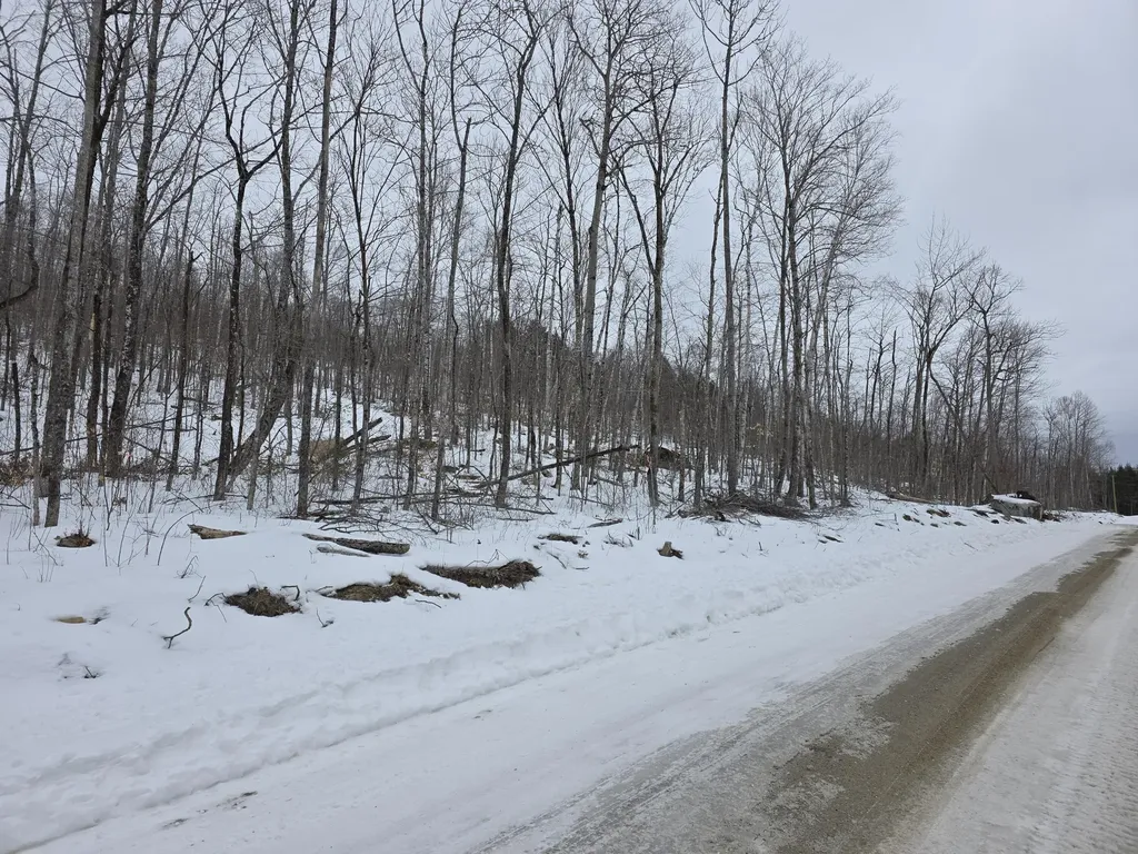 Lot F Sleeper Road Island Falls ME 04747
