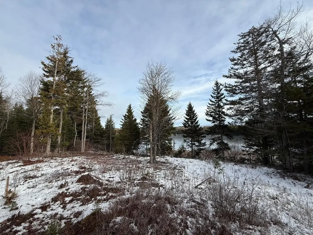 Lot 7bh Steam Mill Road Robbinston ME 04671