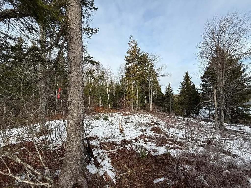 Lot 7bh Steam Mill Road Robbinston ME 04671