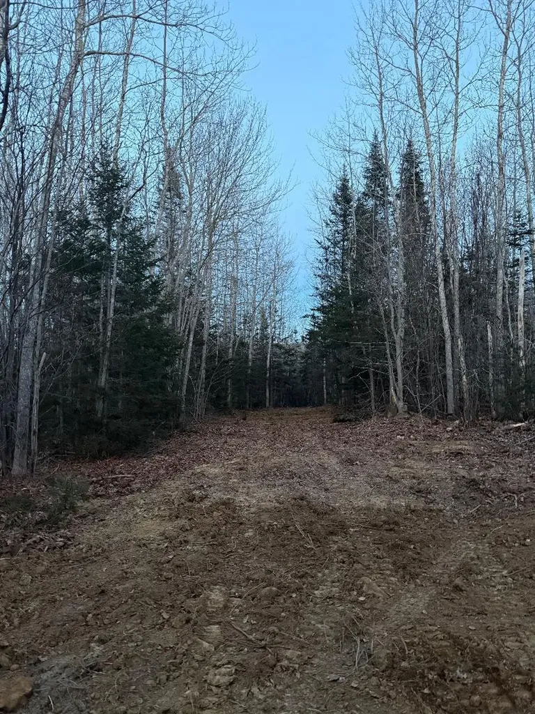 Lot 7bh Steam Mill Road Robbinston ME 04671