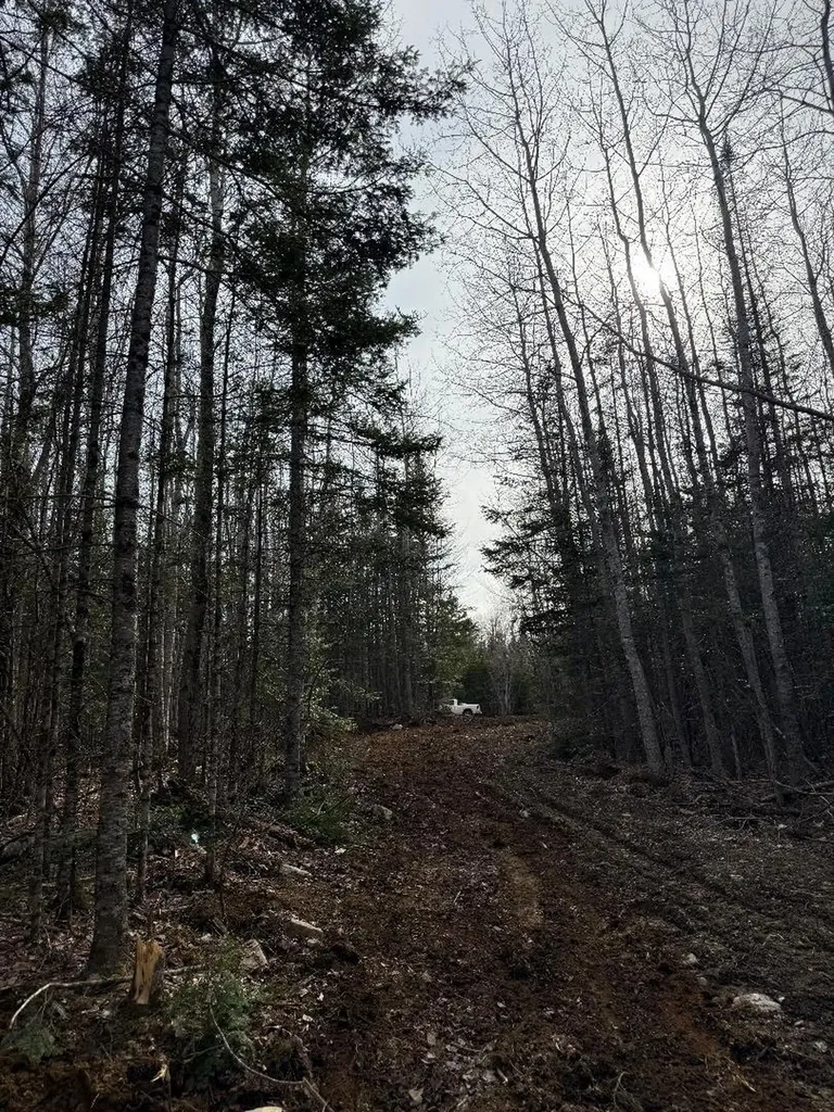 Lot 7bh Steam Mill Road Robbinston ME 04671