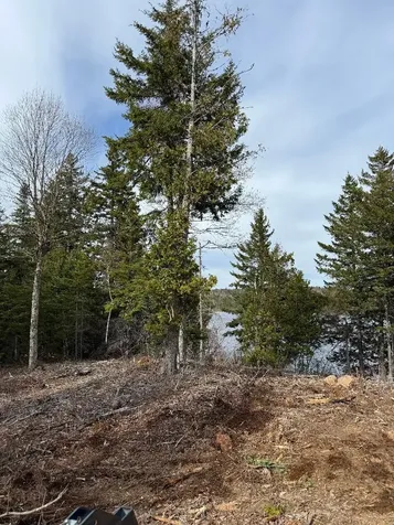 Lot 7bh Steam Mill Road Robbinston ME 04671