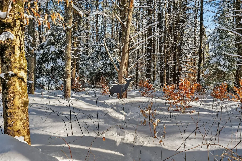 58 Quarterhorse Drive Bridgton ME 04009