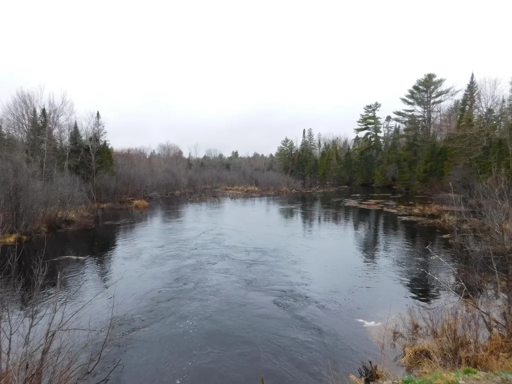 Lot # 2 Spring Bridge Road Greenbush ME 04418