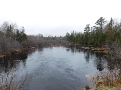 Lot # 2 Spring Bridge Road Greenbush ME 04418