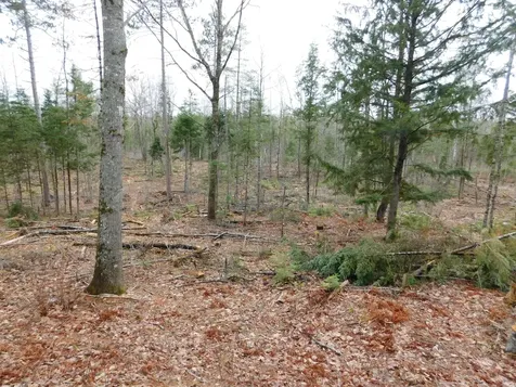 Lot # 2 Spring Bridge Road Greenbush ME 04418