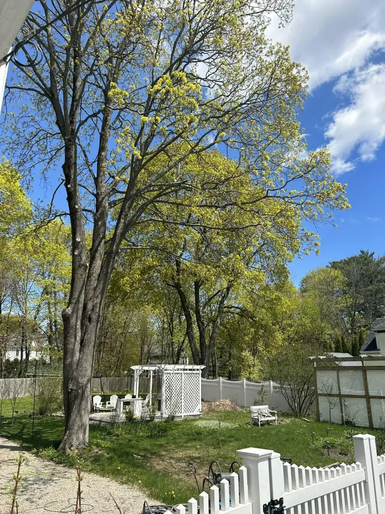 431 Hammond Street Bangor ME 04401