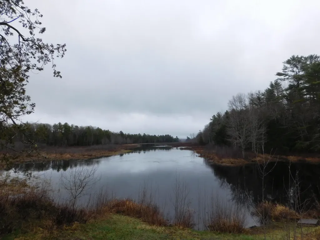 Lot # 4 Spring Bridge Road Greenbush ME 04418