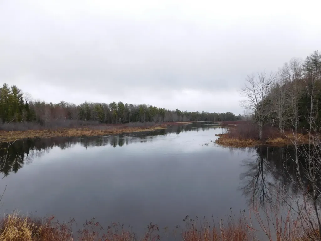 Lot # 4 Spring Bridge Road Greenbush ME 04418