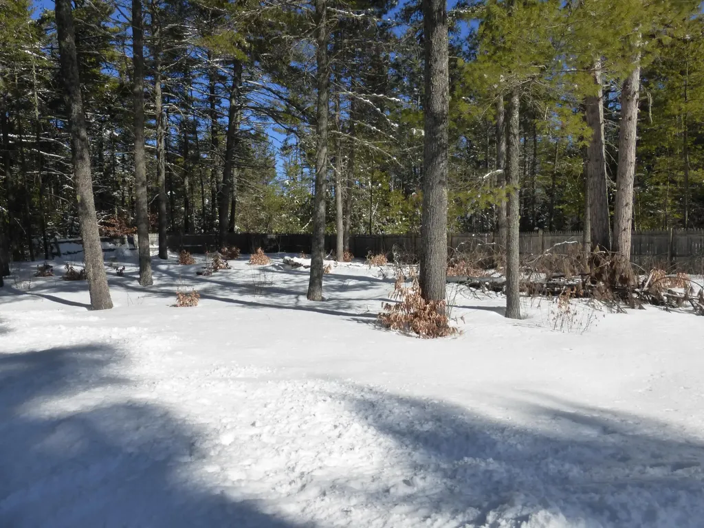39 Twig Circle Harrison ME 04040