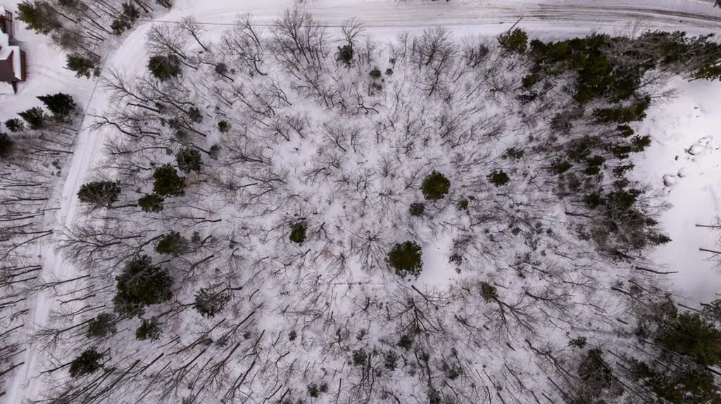 2018 Hillside Road Carrabassett Valley ME 04947