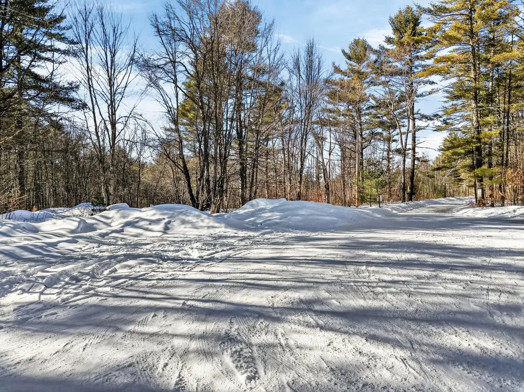 Lot 42 Maine Street Poland ME 04274