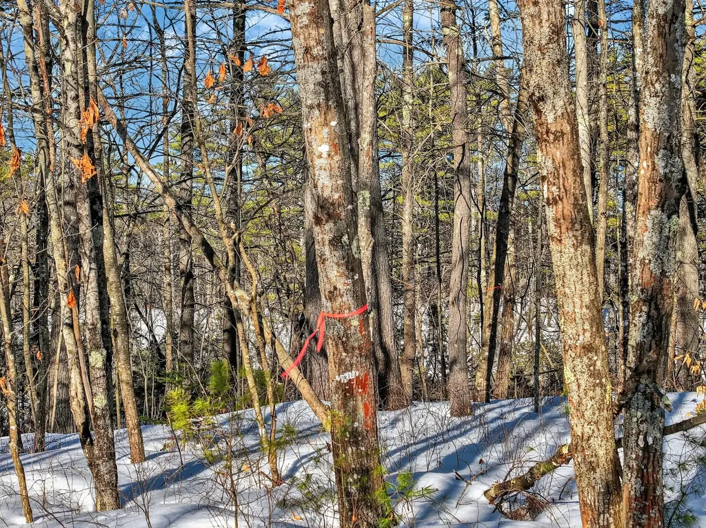 LOT42-1001 Maine Street Poland ME 04274