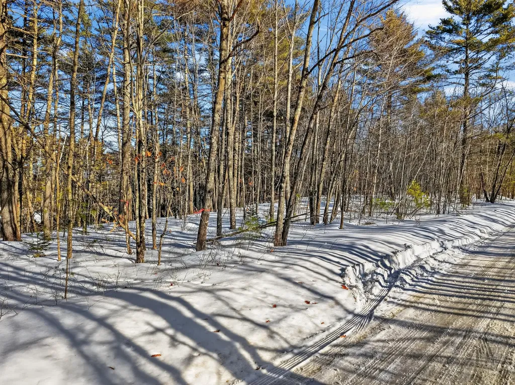 LOT42-1001 Maine Street Poland ME 04274