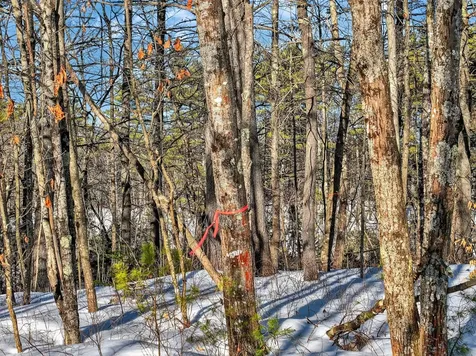 LOT42-1001 Maine Street Poland ME 04274