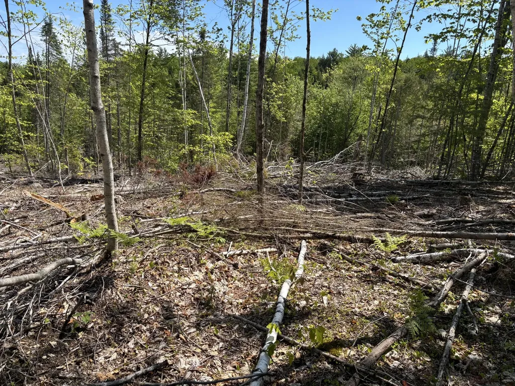 M 2 - L 1 Off Bean Road Mercer ME 04957