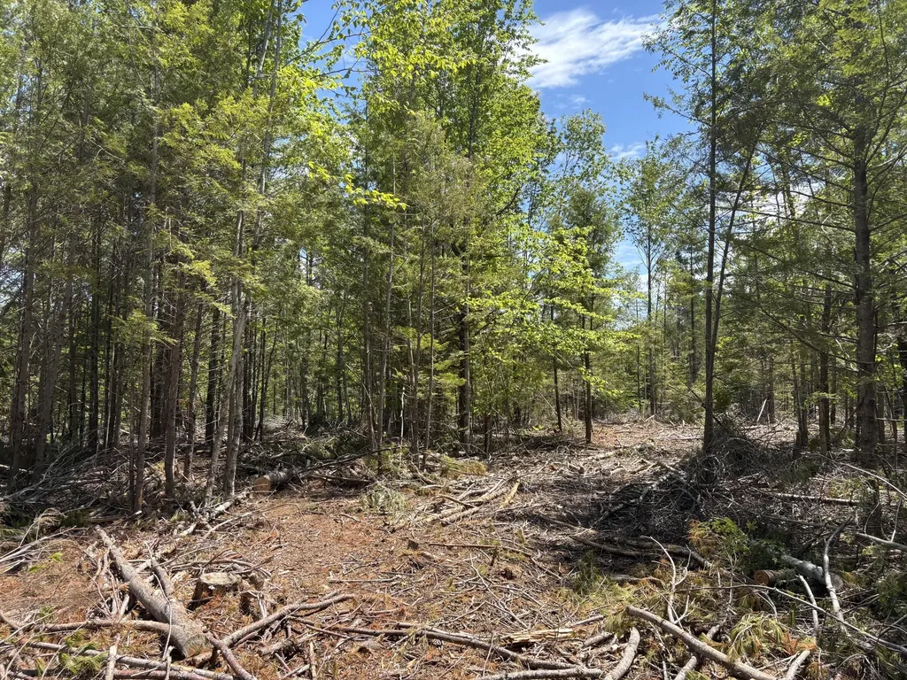 M 2 - L 1 Off Bean Road Mercer ME 04957