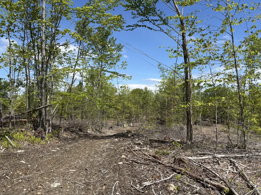 M 2 - L 1 Off Bean Road Mercer ME 04957
