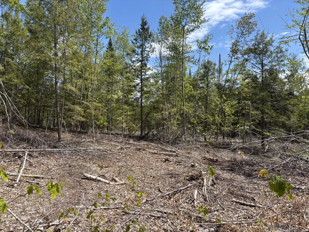 M 2 - L 1 Off Bean Road Mercer ME 04957