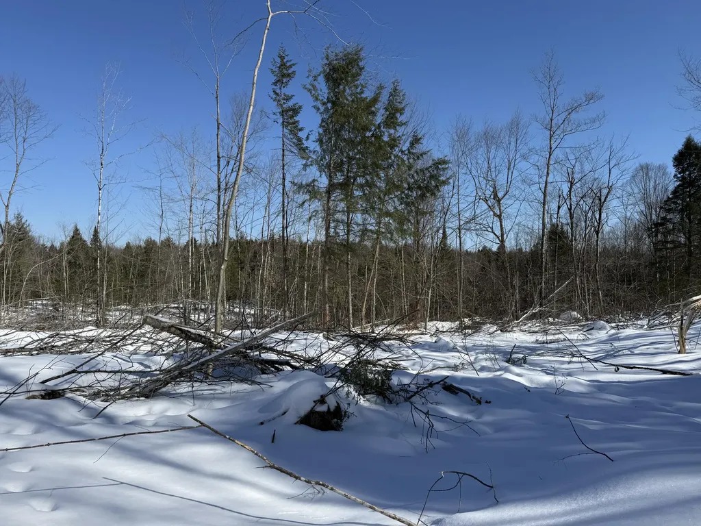 M 2 - L 1 Off Bean Road Mercer ME 04957