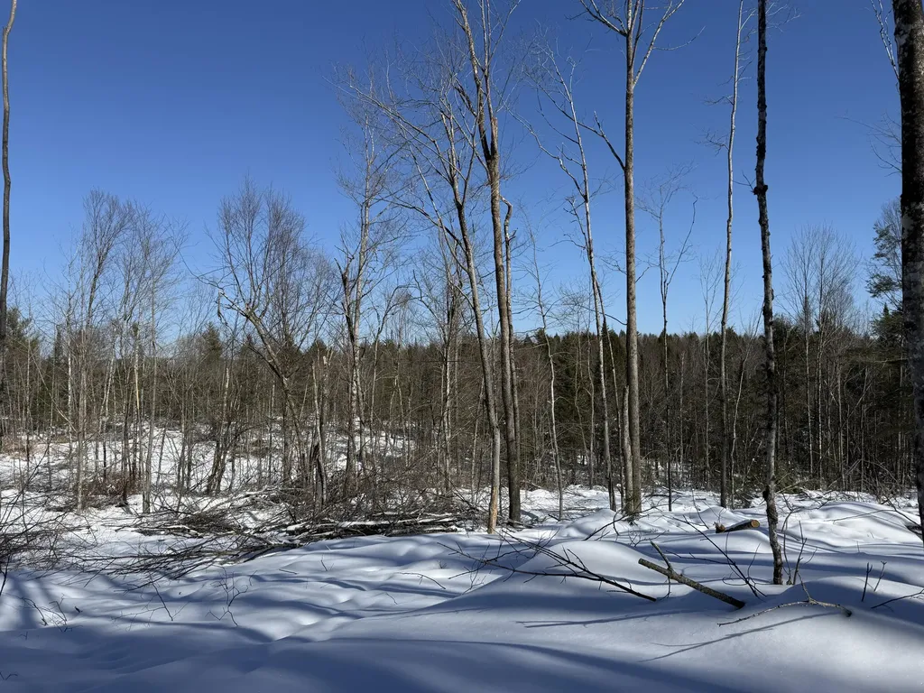 M 2 - L 1 Off Bean Road Mercer ME 04957