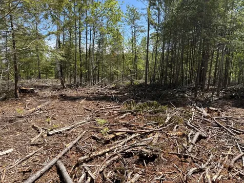 M 2 - L 1 Off Bean Road Mercer ME 04957