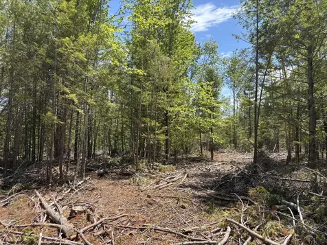 M 2 - L 1 Off Bean Road Mercer ME 04957