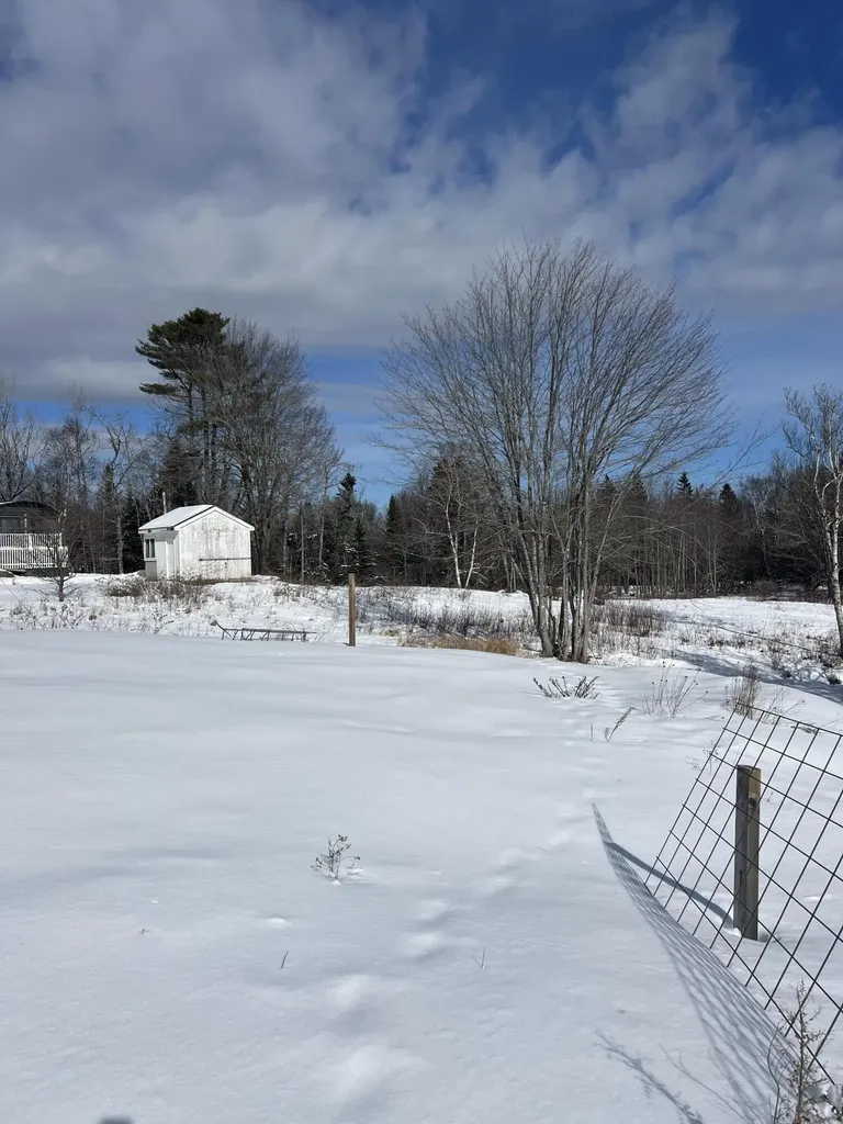 272 Looks Point Road Jonesboro ME 04648