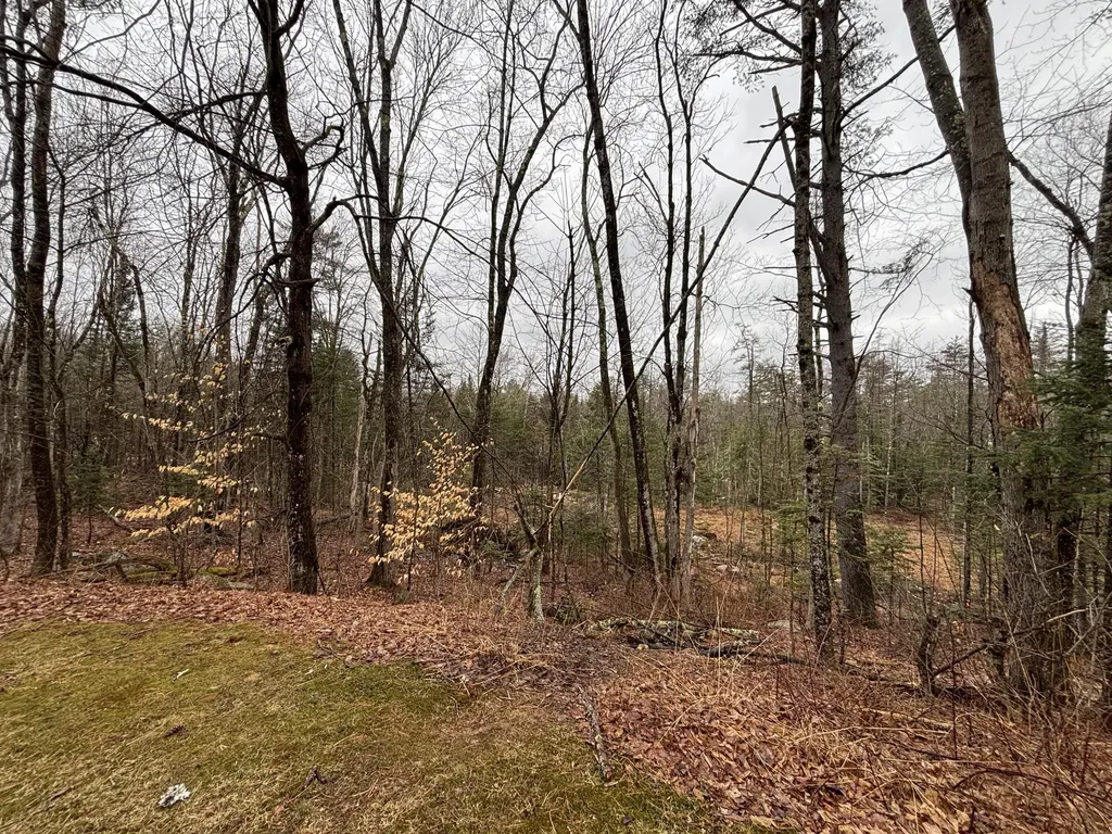732 Roosevelt Trail Casco ME 04015