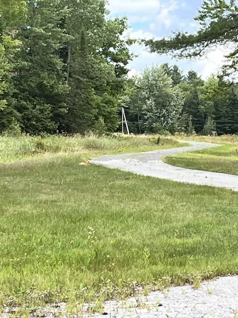 474 N Howland Road Howland ME 04448