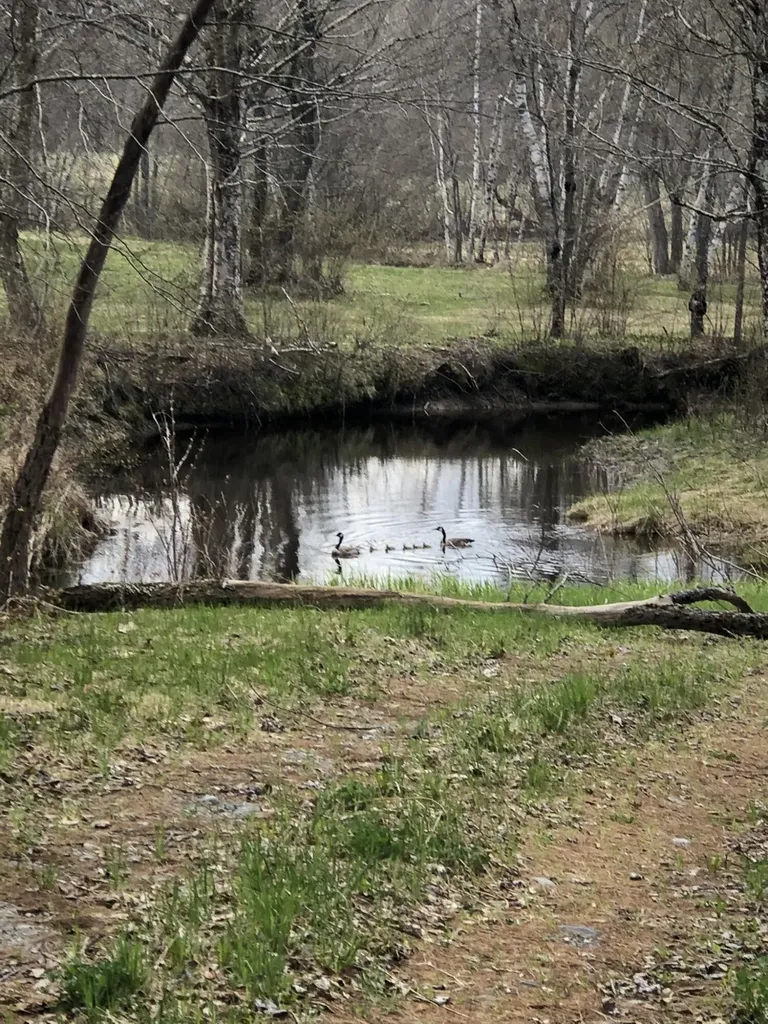 474 N Howland Road Howland ME 04448