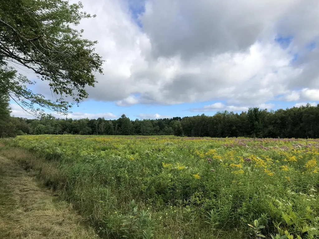 474 N Howland Road Howland ME 04448