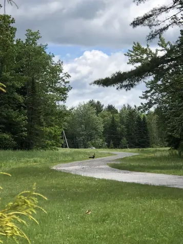 474 N Howland Road Howland ME 04448