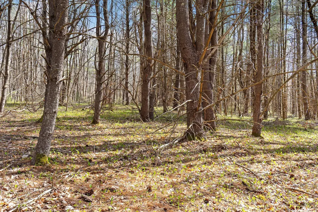 Lot 3 Kennebrook Lane Lyman ME 04002