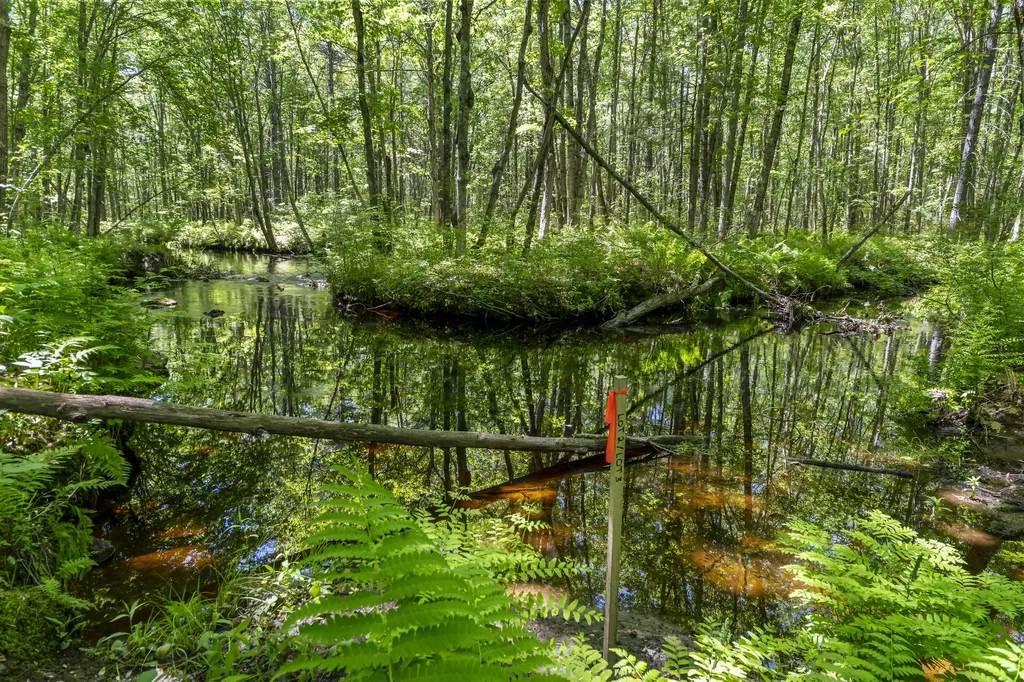 Lot 3 Kennebrook Lane Lyman ME 04002