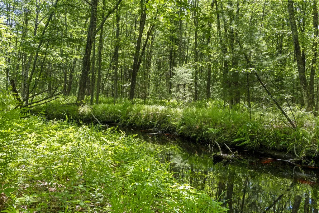 Lot 3 Kennebrook Lane Lyman ME 04002