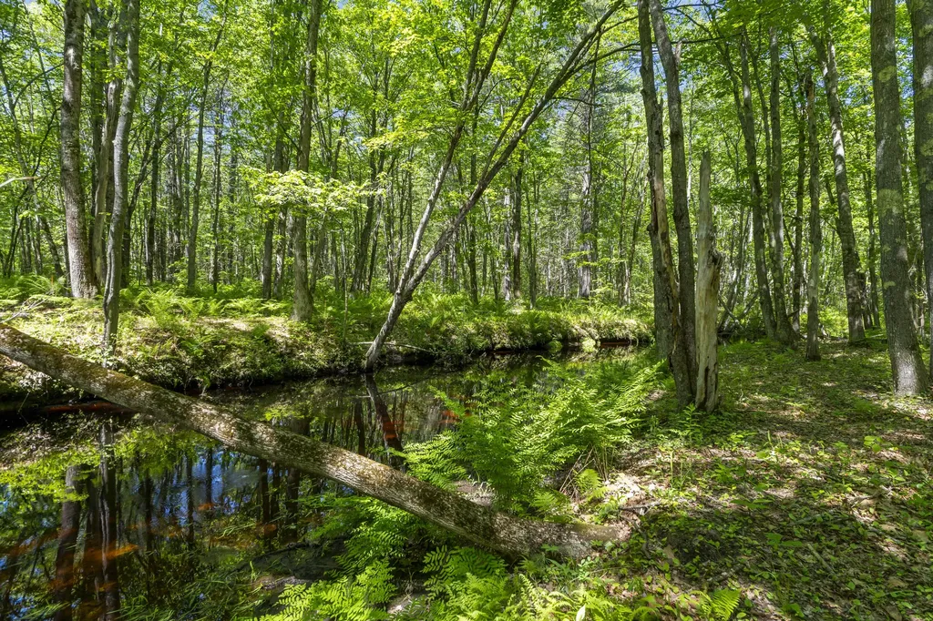 Lot 3 Kennebrook Lane Lyman ME 04002