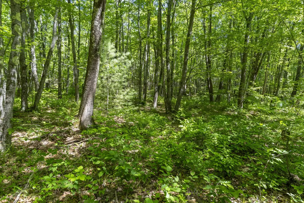 Lot 3 Kennebrook Lane Lyman ME 04002