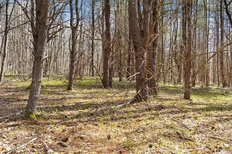 Lot 3 Kennebrook Lane Lyman ME 04002