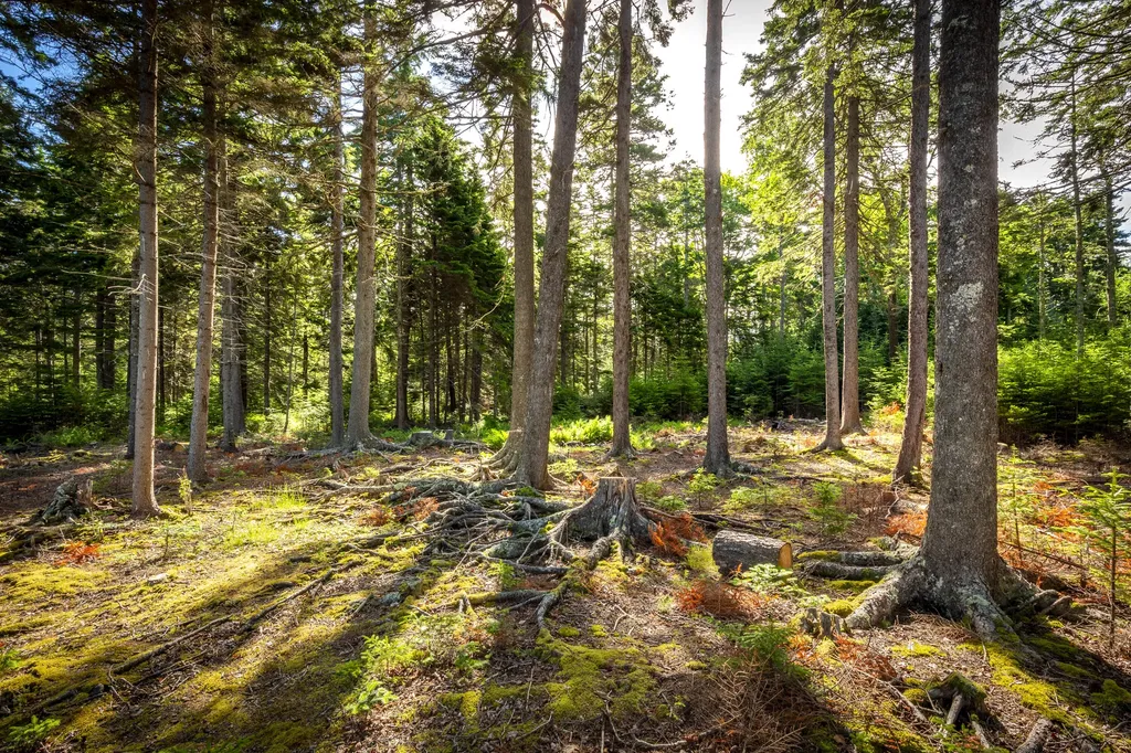 M15L20-TBD Golf Club Road Islesboro ME 04848