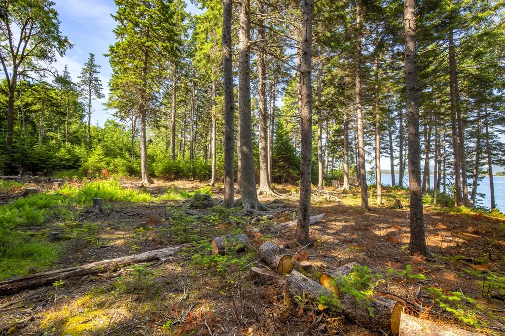M15L20-TBD Golf Club Road Islesboro ME 04848