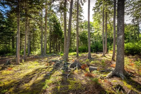 M15L20-TBD Golf Club Road Islesboro ME 04848
